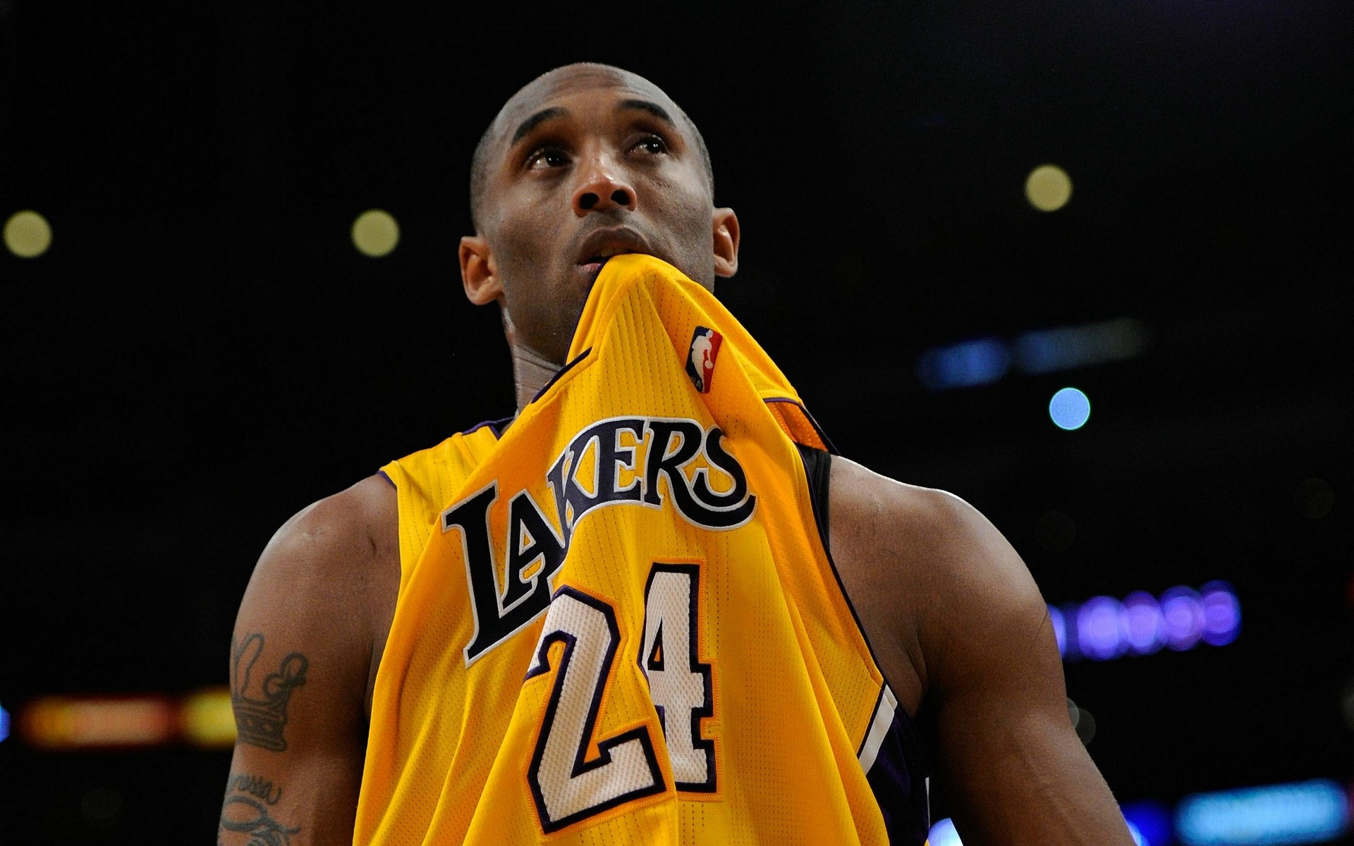 建筑学基础 建筑学基础