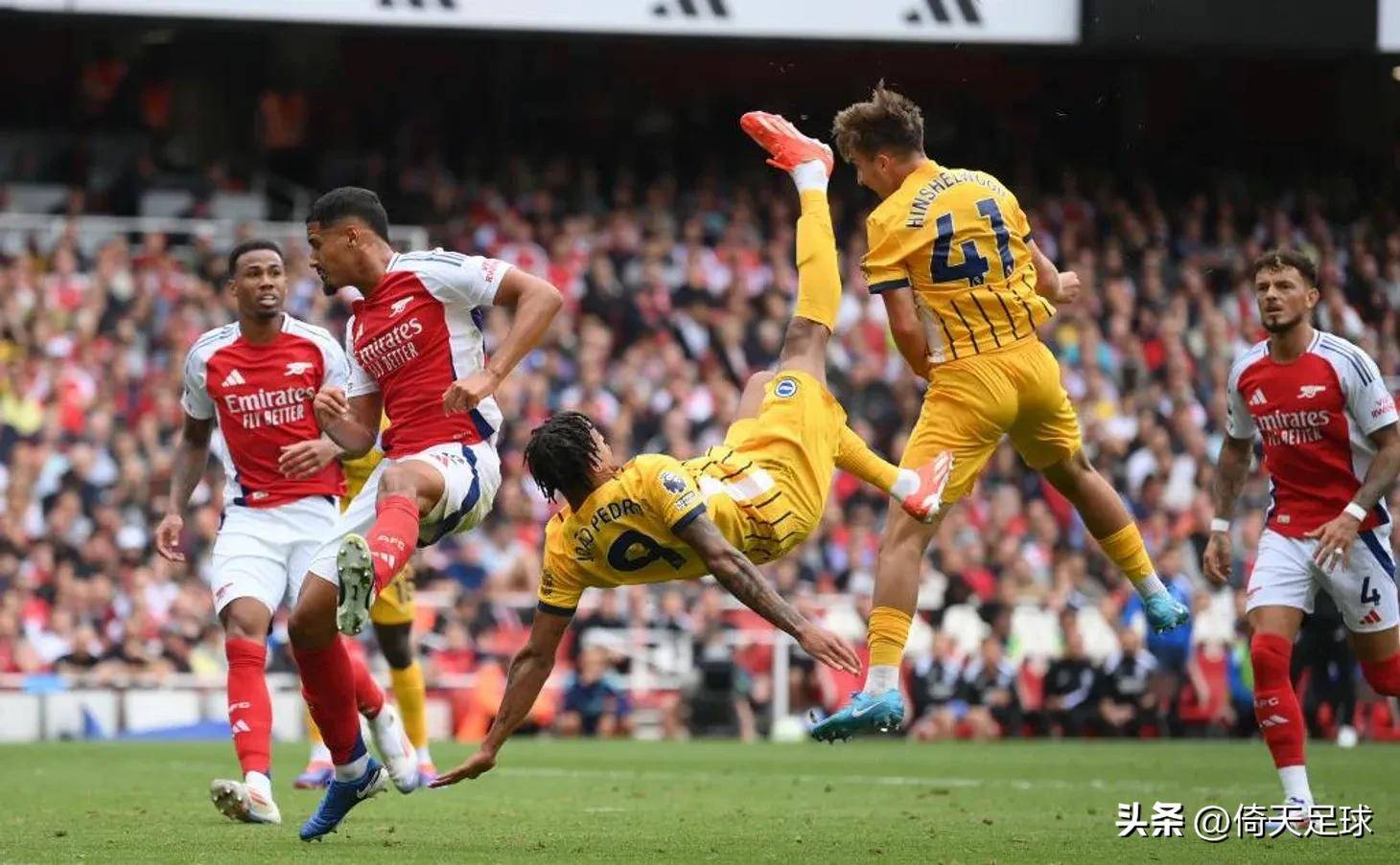 是第二条主 是第二条主